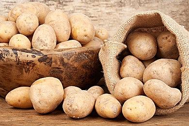 抢回公主然后带着上战场？《塔楼公主》战斗系统前瞻